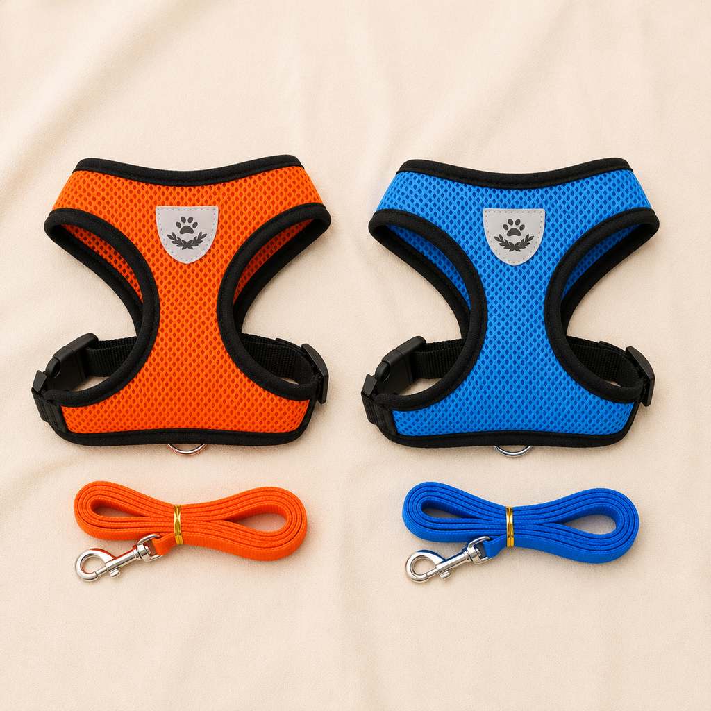 Harness color variants orange and blue